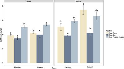Belowground Dynamics Influence Nitrogen Cycling and Crop Productivity in Diversified Corn Systems